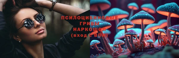 гидропоника Белокуриха