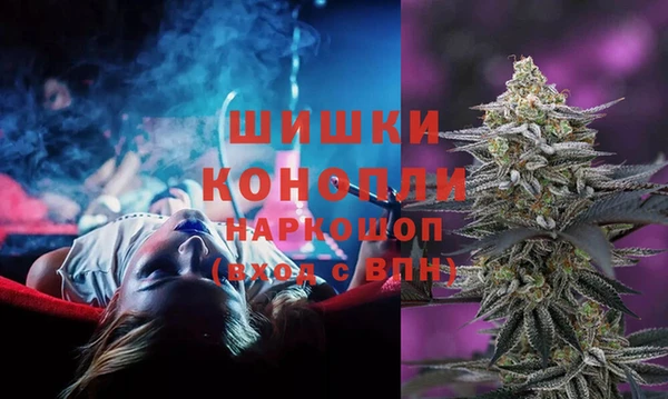 гидропоника Белокуриха